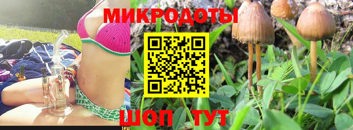 Псилоцибиновые грибы мухоморы Ступино